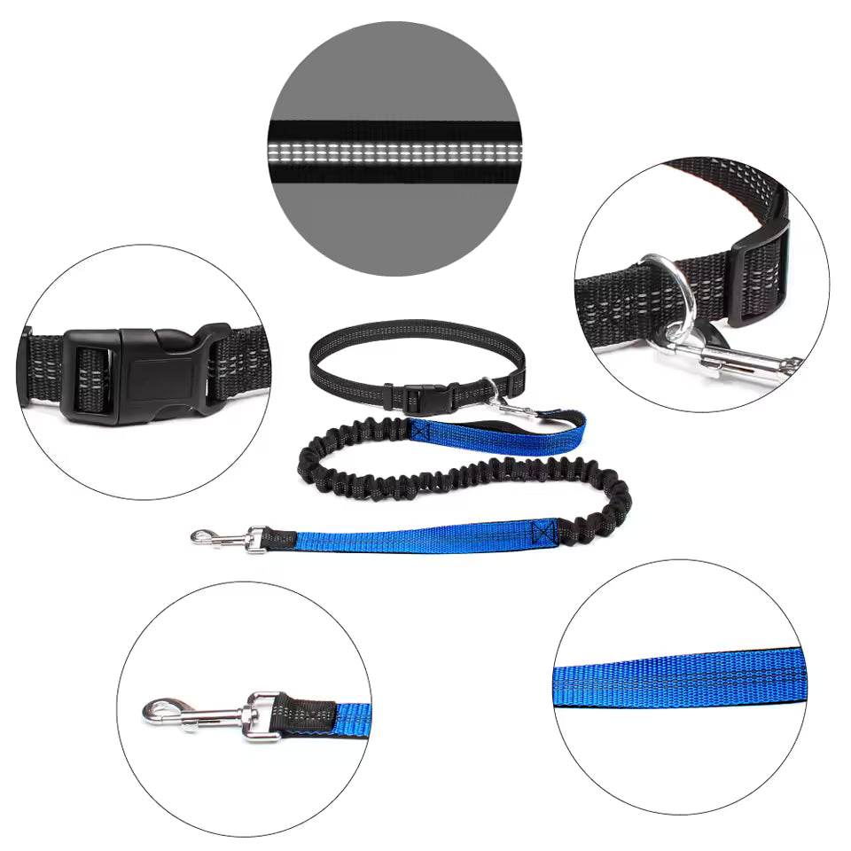 Hands-Free Dog Leash with Adjustable Waist Belt and Dual Bungee System 2