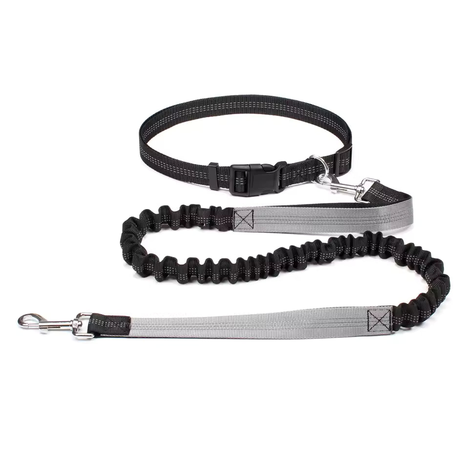 Hands-Free Dog Leash with Adjustable Waist Belt and Dual Bungee System 3