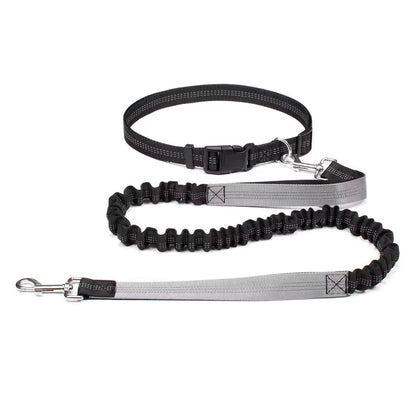 Hands-Free Dog Leash with Adjustable Waist Belt and Dual Bungee System 3