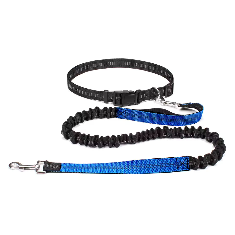 Hands-Free Dog Leash with Adjustable Waist Belt and Dual Bungee System 4