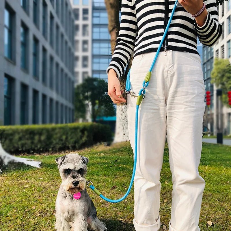 Hands-Free Dog Leash with Reflective Design – Durable & Comfortable for All Dog Sizes, Perfect for Walking, Jogging, Running 5