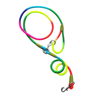 Hands-Free Dog Leash with Reflective Details – Durable and Comfortable for All Dog Sizes 12