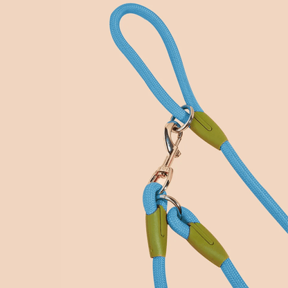 Hands-Free Dog Leash with Reflective Details – Durable and Comfortable for All Dog Sizes 7