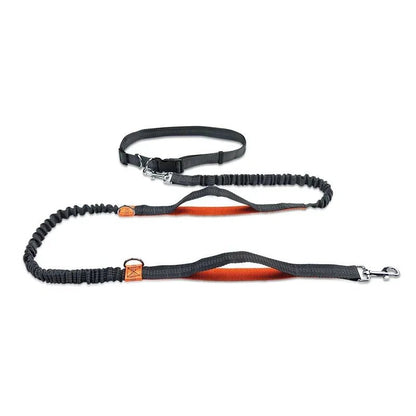 Hands-Free Retractable Dog Leash with Adjustable Waistband and Shock-Absorbing Bungee Strap - Durable and Reflective, Perfect for Running and Hiking 0