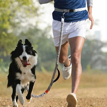 Hands-Free Retractable Dog Leash with Adjustable Waistband and Shock-Absorbing Bungee Strap - Durable and Reflective, Perfect for Running and Hiking 1