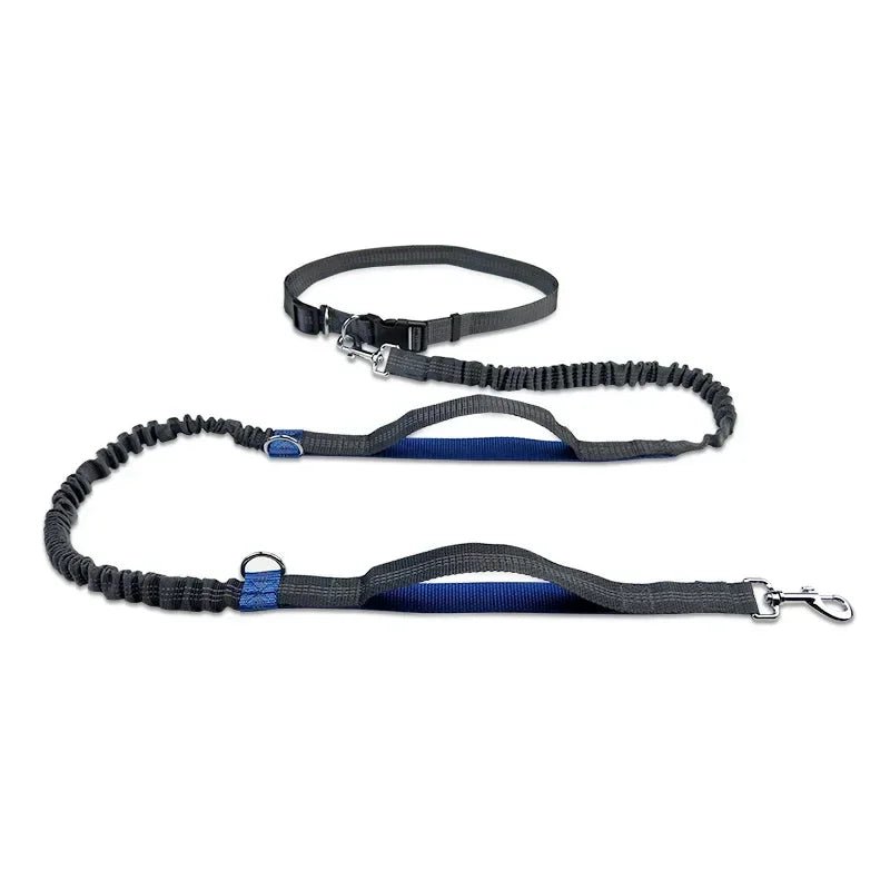 Hands-Free Retractable Dog Leash with Adjustable Waistband and Shock-Absorbing Bungee Strap - Durable and Reflective, Perfect for Running and Hiking 6