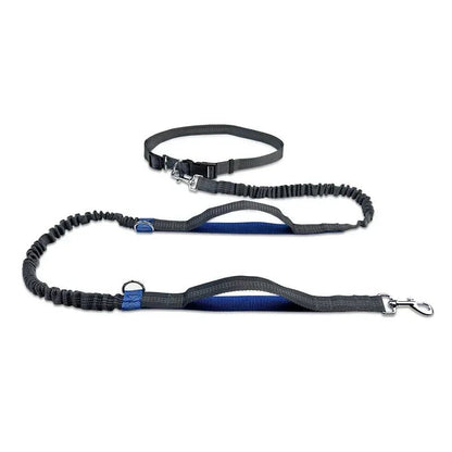 Hands-Free Retractable Dog Leash with Adjustable Waistband and Shock-Absorbing Bungee Strap - Durable and Reflective, Perfect for Running and Hiking 6