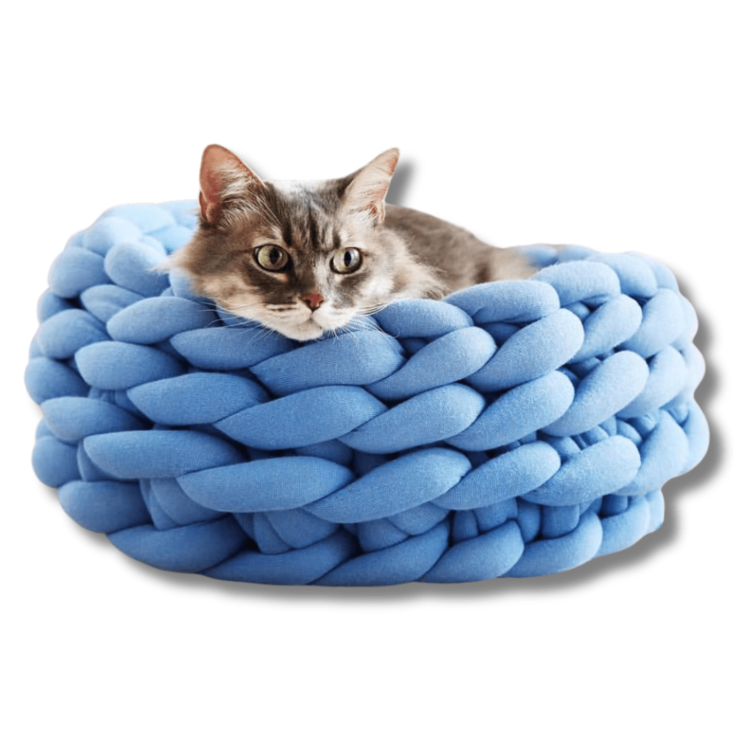 Handwoven cat bed in natural beige with a plush cushion and breathable design, perfect for small pets to relax and feel cozy. 3