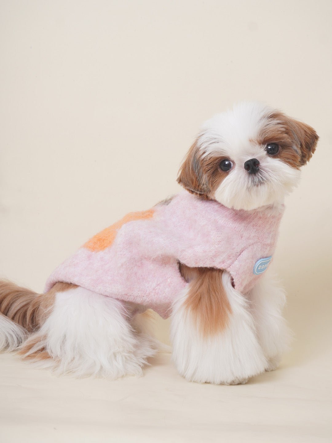 High-Neck Dog Sweater for Small Dogs – Cozy Knit Pet Apparel for Warmth and Comfort 5