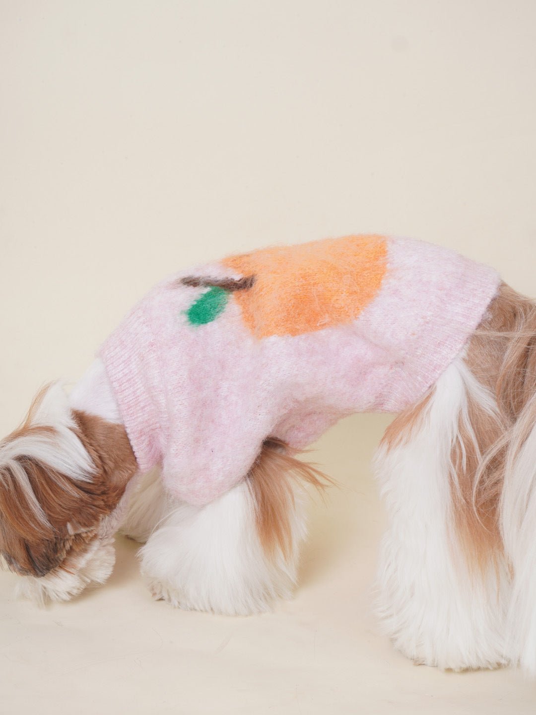 High-Neck Dog Sweater for Small Dogs – Cozy Knit Pet Apparel for Warmth and Comfort 6