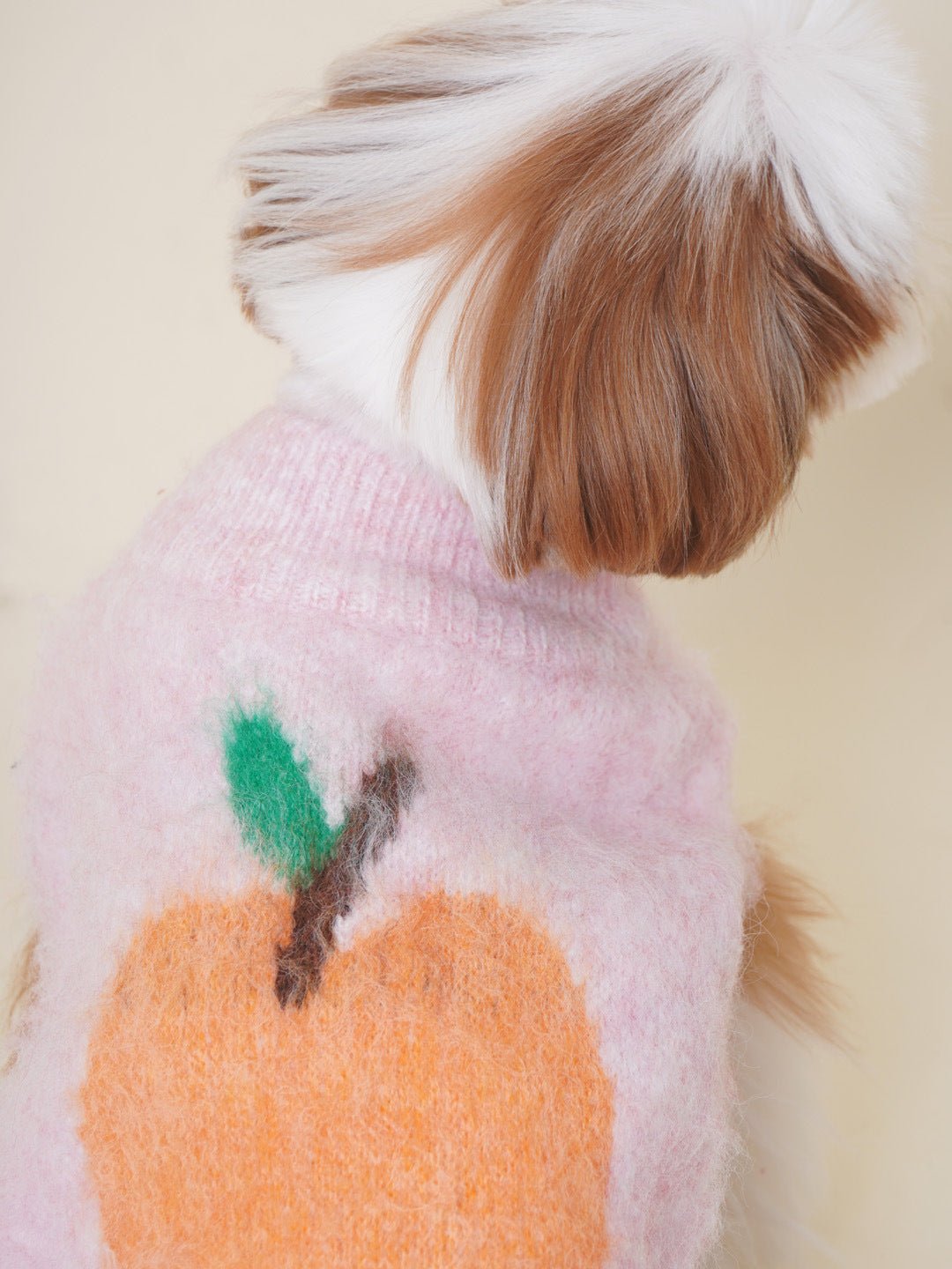 High-Neck Dog Sweater for Small Dogs – Cozy Knit Pet Apparel for Warmth and Comfort 7