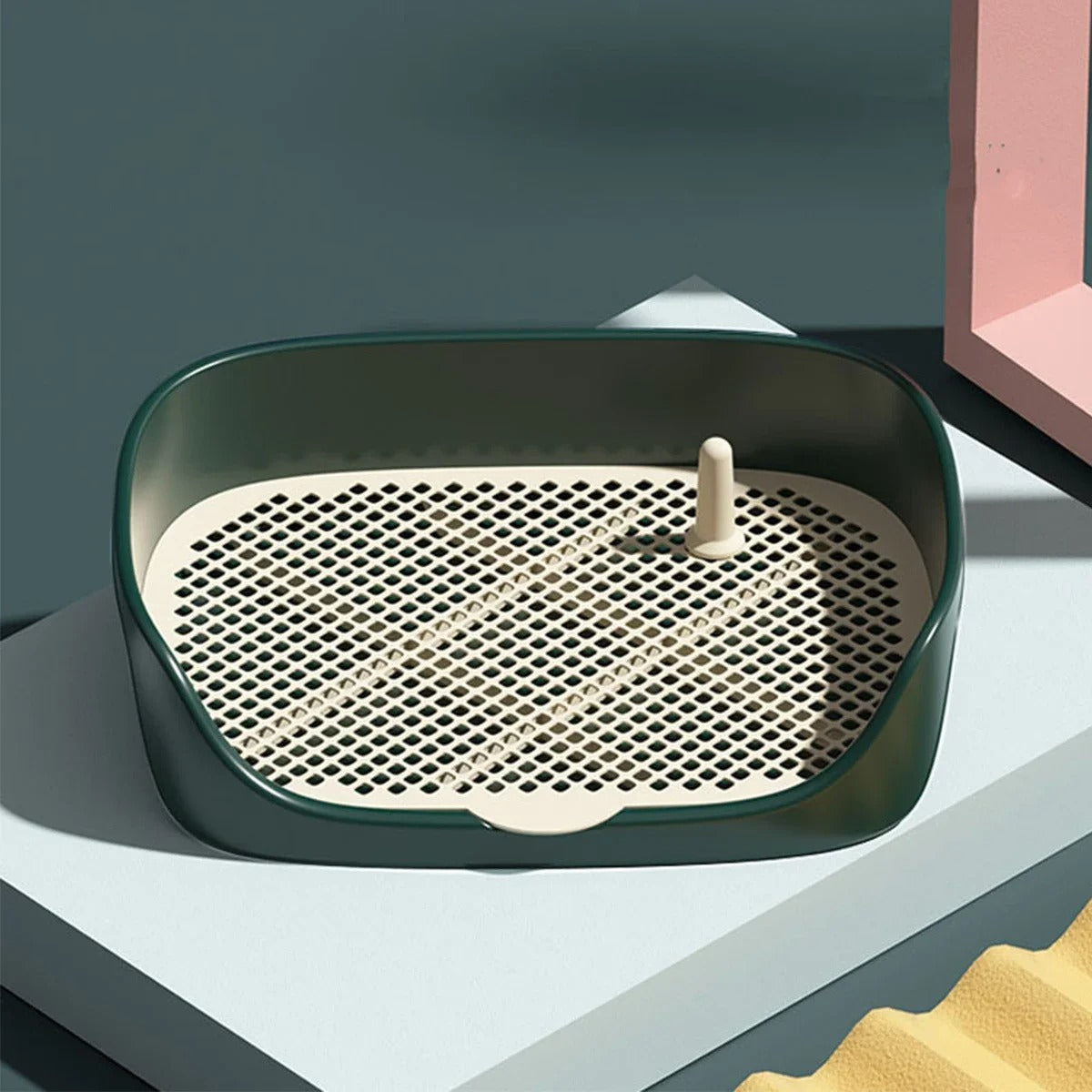 Housebroken Dog | Puppy Training System 0