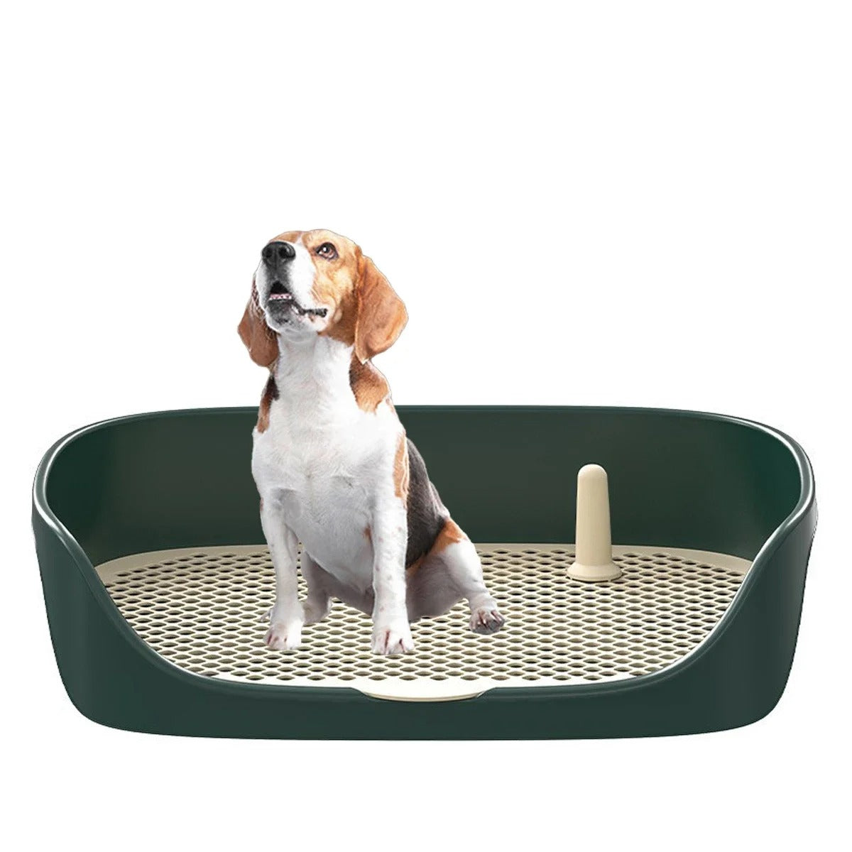 Housebroken Dog | Puppy Training System 3