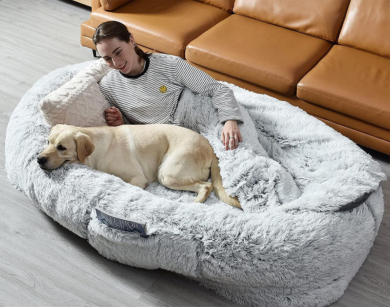 Human-Sized Dog Bed with Soft Cotton and High-Density Foam – Cozy Relaxation for You and Your Pet 2