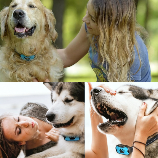 Humane Anti-Bark Collar for Small to Medium Dogs – Adjustable Sensitivity and Weatherproof Design 0