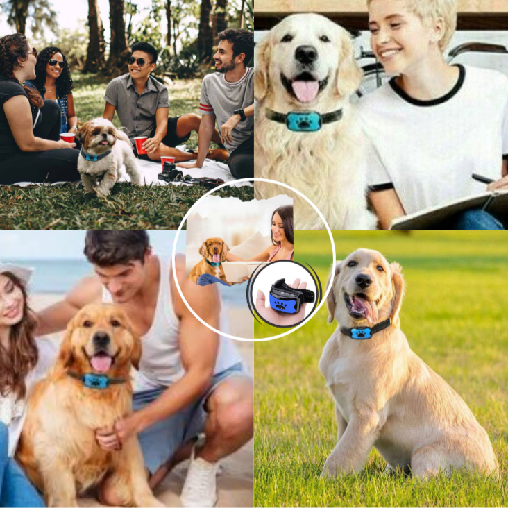 Humane Anti-Bark Collar for Small to Medium Dogs – Adjustable Sensitivity and Weatherproof Design 1