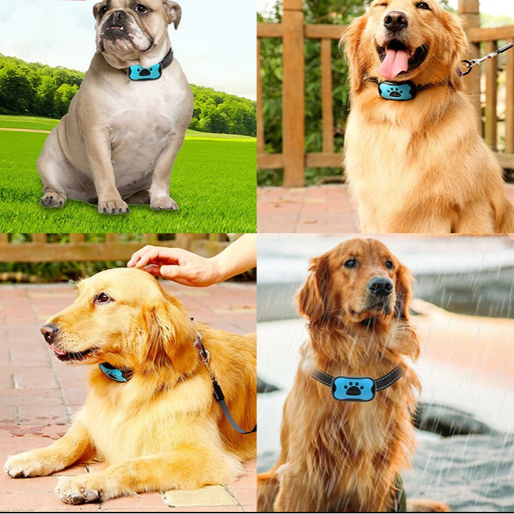 Humane Anti-Bark Collar for Small to Medium Dogs – Adjustable Sensitivity and Weatherproof Design 5