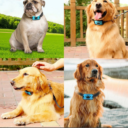 Humane Anti-Bark Collar for Small to Medium Dogs – Adjustable Sensitivity and Weatherproof Design 5