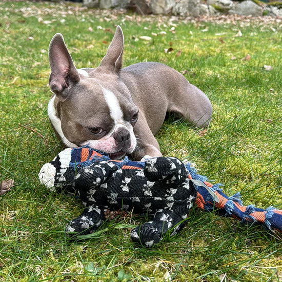 Indestructible Dog Toy for Aggressive Chewers – Durable Interactive Bear with Squeaker, 10 Inch, Safe Chew-Resistant Rubber 7