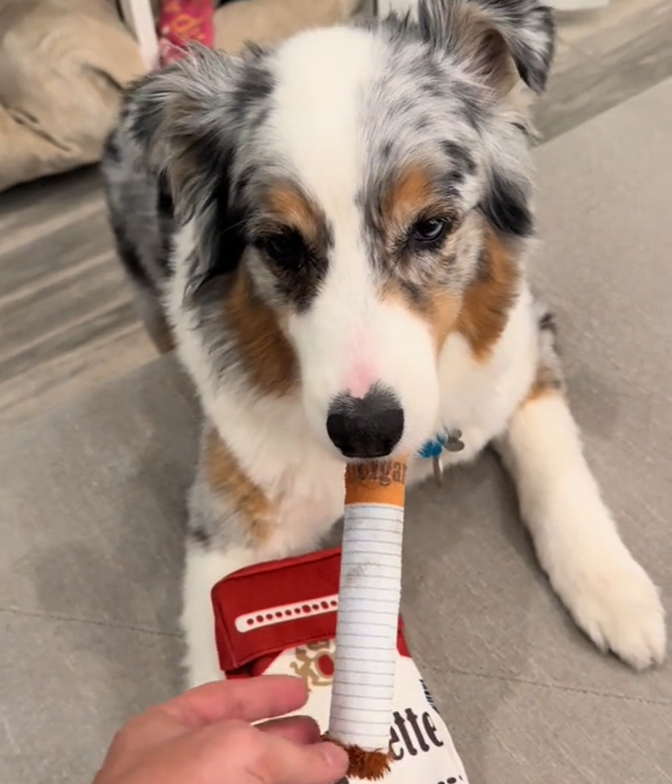 Indestructible Dog Toy for Aggressive Chewers – Durable Non-Toxic Material with Hilarious Cigarette Design 1