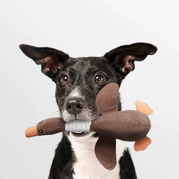 Indestructible Dog Toy for Aggressive Chewers – Extreme Goose with Organic Materials and Triple Stitching 7