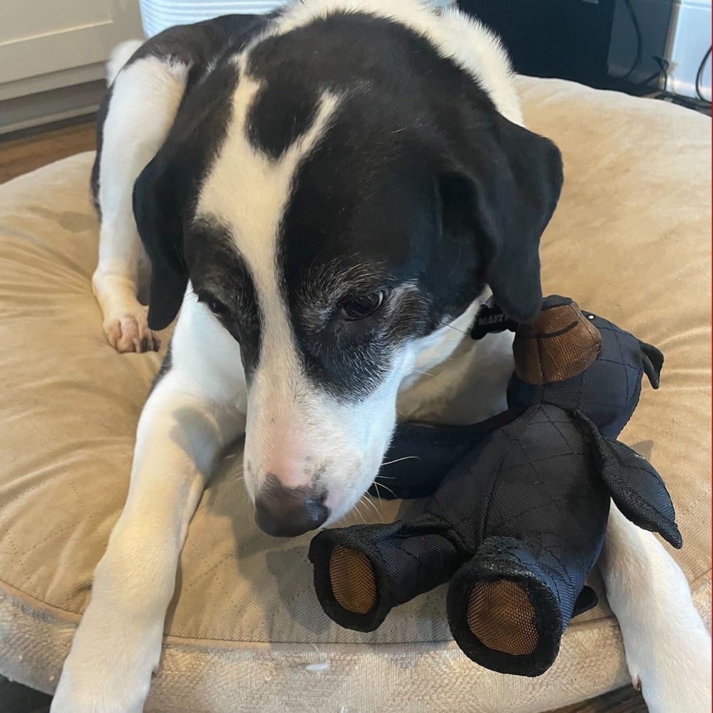 Indestructible Interactive Bear Dog Toy for Heavy Chewers – Durable and Safe Playtime 7