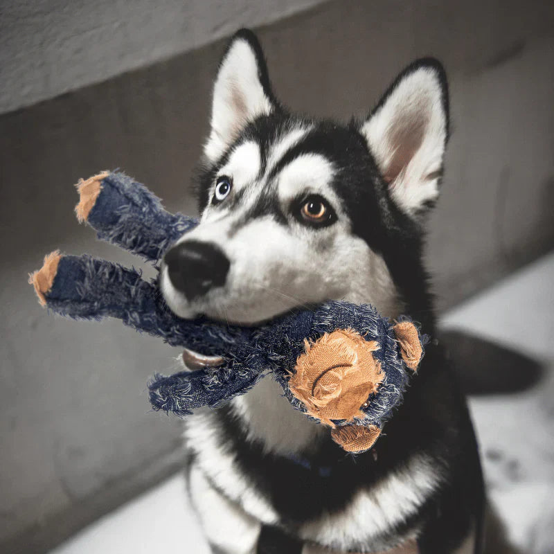 Indestructible Interactive Dog Toy for Aggressive Chewers – Durable Plush Bear 1