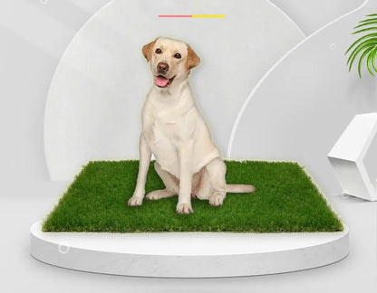 Indoor/Outdoor Dog Grass Mat with Leak Protection – Odor-Free, Easy-Clean PVC Artificial Grass for Pets, Various Sizes Available 0