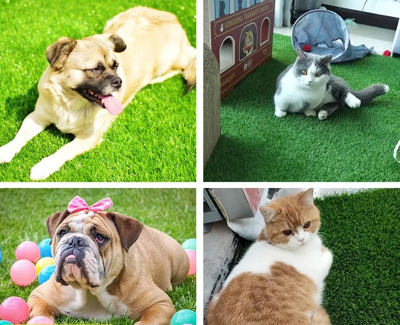Indoor/Outdoor Dog Grass Mat with Leak Protection – Odor-Free, Easy-Clean PVC Artificial Grass for Pets, Various Sizes Available 1
