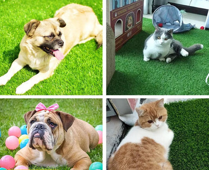 Indoor/Outdoor Dog Grass Mat with Leak Protection – Odor-Free, Easy-Clean PVC Artificial Grass for Pets, Various Sizes Available 1