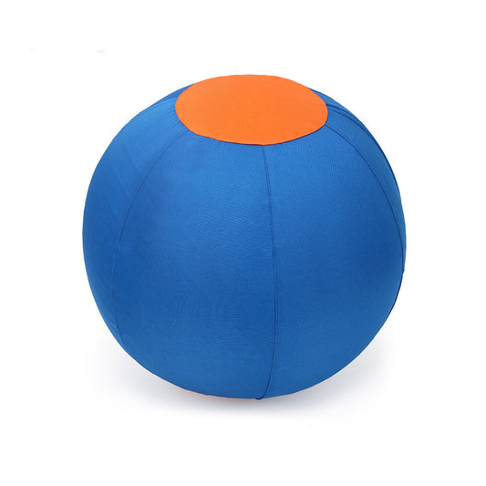 Inflatable dog toy designed for outdoor play, featuring a durable push and chase design in bright colors for easy visibility. 0