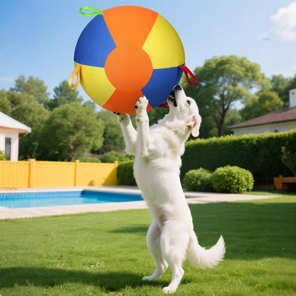 Inflatable dog toy designed for outdoor play, featuring a durable push and chase design in bright colors for easy visibility. 4