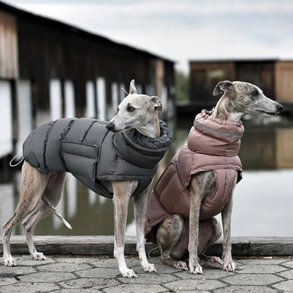 Insulated Dog Coat for Winter - Reflective, Water-Repellent, Adjustable Fit for All Breeds 0