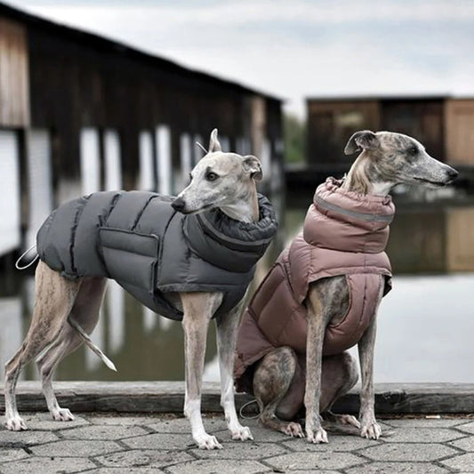 Insulated Dog Coat for Winter - Reflective, Water-Repellent, Adjustable Fit for All Breeds 0
