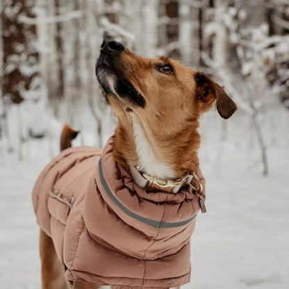 Insulated Dog Coat for Winter - Reflective, Water-Repellent, Adjustable Fit for All Breeds 2