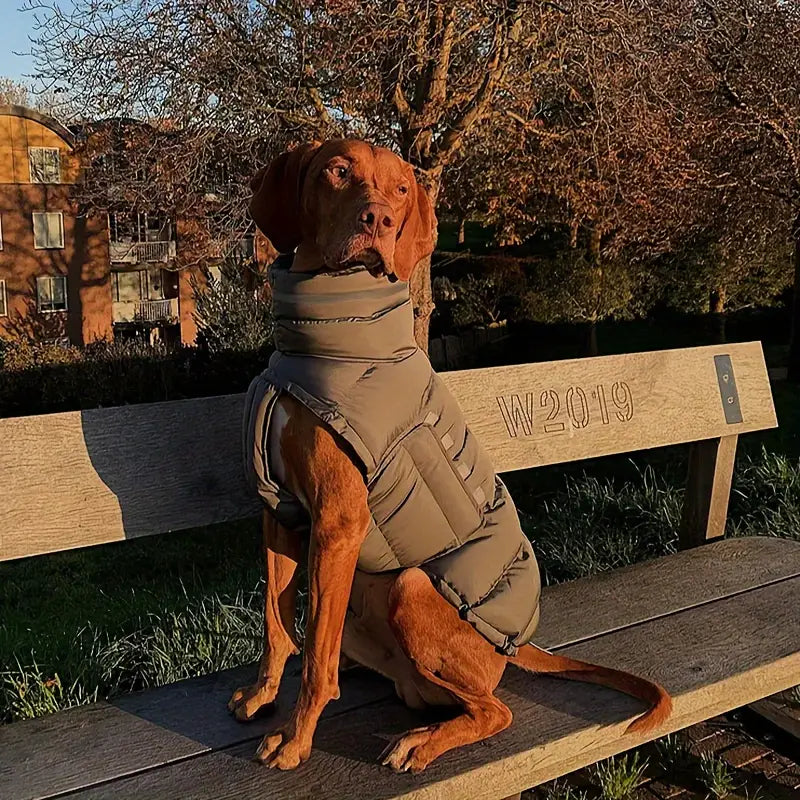 Insulated Dog Coat for Winter - Reflective, Water-Repellent, Adjustable Fit for All Breeds 3