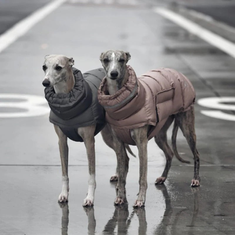 Insulated Dog Coat for Winter - Reflective, Water-Repellent, Adjustable Fit for All Breeds 4