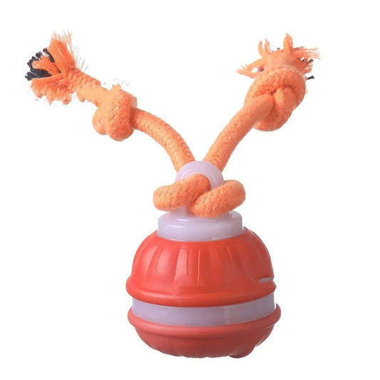 Interactive Automatic Dog Toy Ball with Motion Sensor, USB Rechargeable, Durable Indoor Play for Small Dogs 0