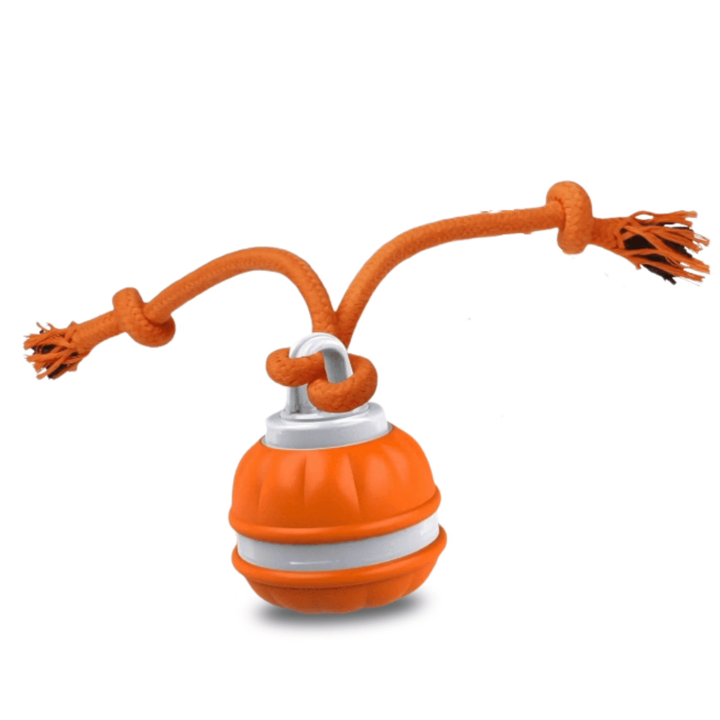 Interactive Automatic Dog Toy Ball with Motion Sensor, USB Rechargeable, Durable Indoor Play for Small Dogs 1