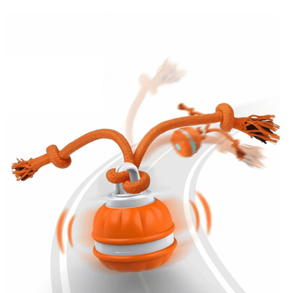 Interactive Automatic Dog Toy Ball with Motion Sensor, USB Rechargeable, Durable Indoor Play for Small Dogs 3