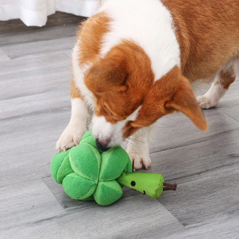 Interactive Broccoli Sniffing Toy for Dogs – Slow Eating & Mental Stimulation, Durable and Easy to Clean 0