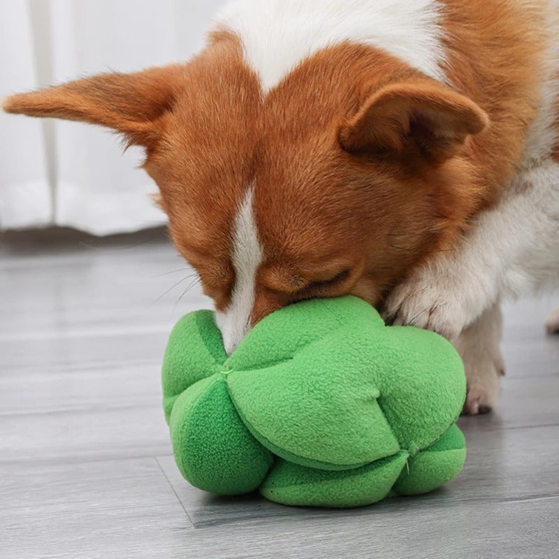 Interactive Broccoli Sniffing Toy for Dogs – Slow Eating & Mental Stimulation, Durable and Easy to Clean 2
