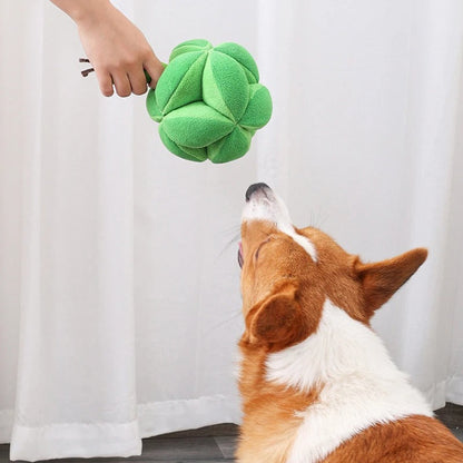 Interactive Broccoli Sniffing Toy for Dogs – Slow Eating & Mental Stimulation, Durable and Easy to Clean 3