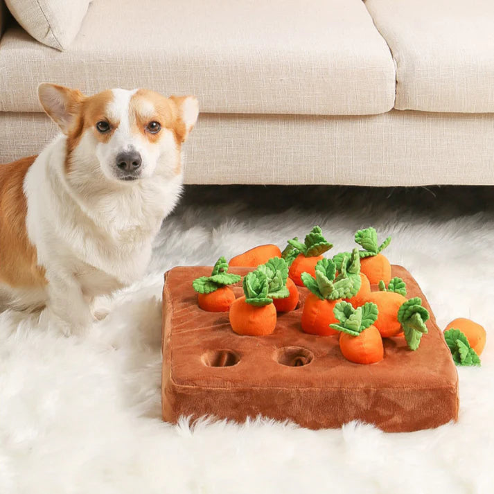 Interactive Carrot Garden Dog Puzzle Toy for Mental Stimulation and Entertainment 6