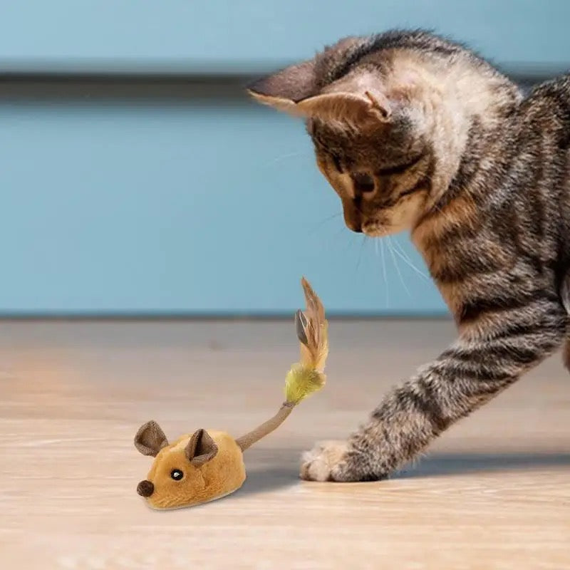 Interactive Cat Toy Mimicking Mouse Movements for Engaging Play and Mental Stimulation 0