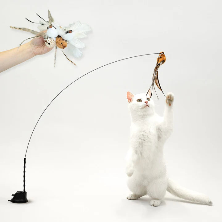 Interactive Cat Toy Set with Realistic Bird Simulation and Suction Cup Base 1