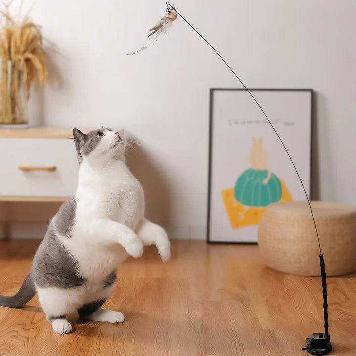 Interactive Cat Toy Set with Realistic Bird Simulation and Suction Cup Base 4