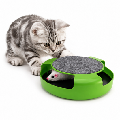 Interactive cat toy featuring a hidden mouse designed for indoor play, providing an engaging puzzle experience for cats to stimulate their hunting instincts. 1