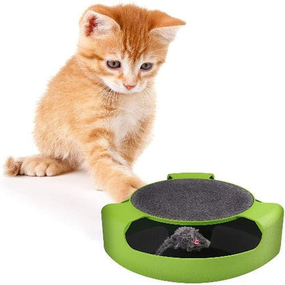 Interactive cat toy featuring a hidden mouse designed for indoor play, providing an engaging puzzle experience for cats to stimulate their hunting instincts. 3