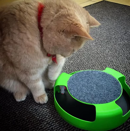 Interactive Cat Toy with Moving Mouse – Engaging Fun for Indoor Cats, Promotes Hunting Instincts, Durable ABS Plastic 2